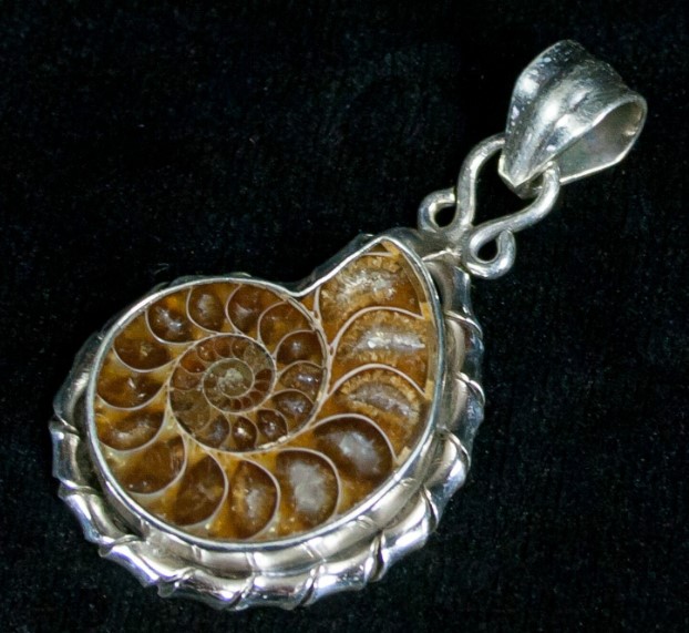 Ammonite Fossil Necklace - featured image