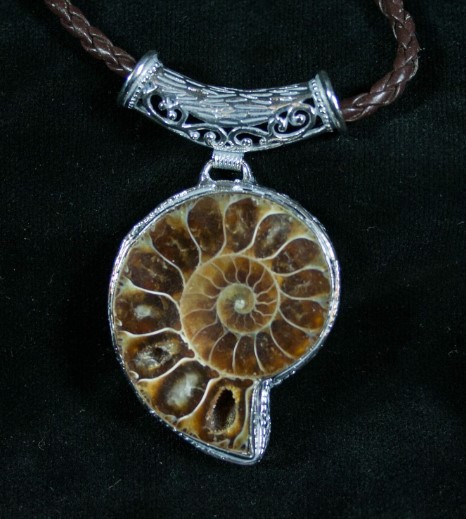 Ammonite Fossil Necklace