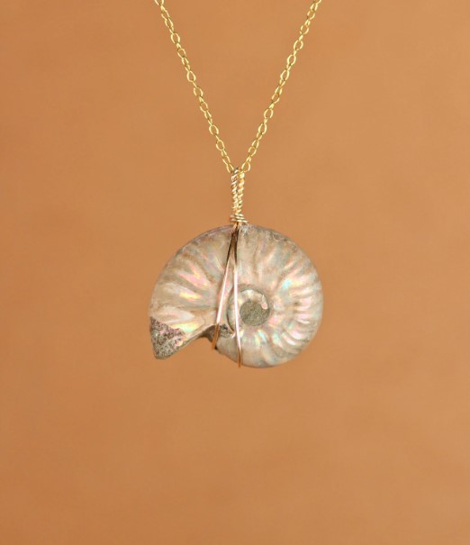 Ammonite Necklace,
