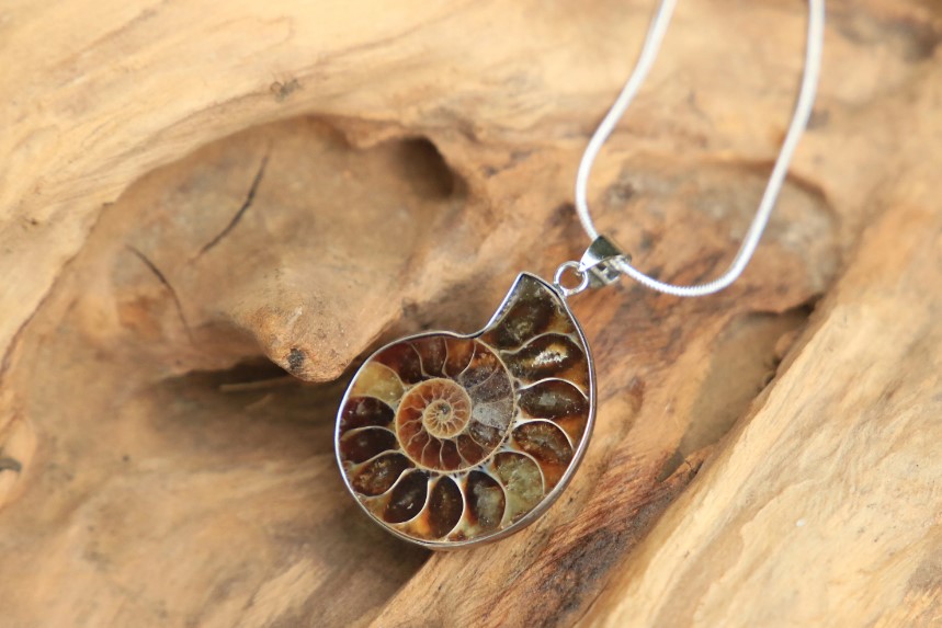 Ammonite Necklaces