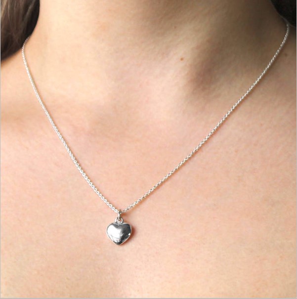 Silver Necklace With A Dogtag On It -heart